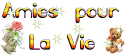 c'est beau l'amitié